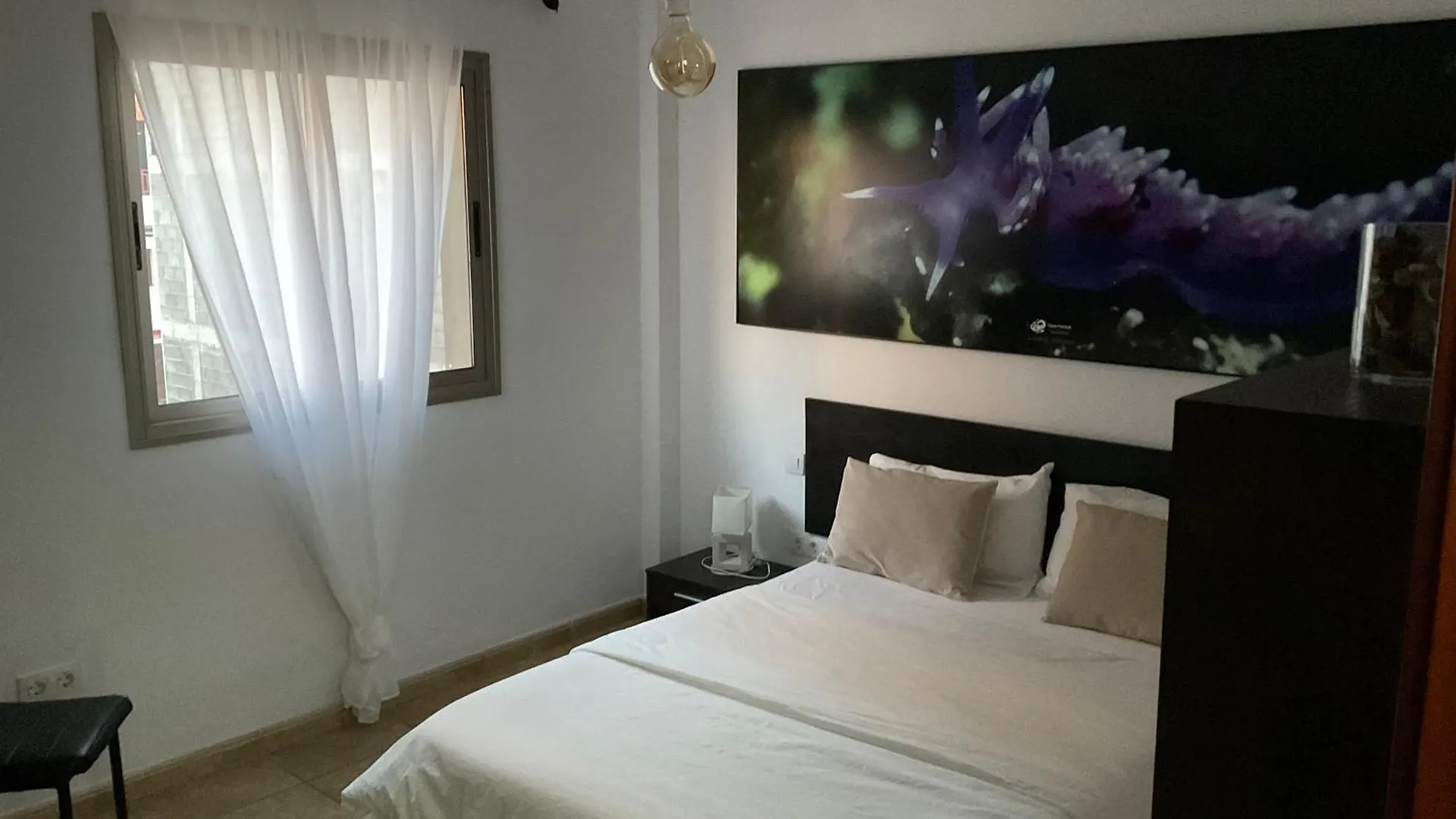 Vv Princesa Guayarmina La Restinga Apartment